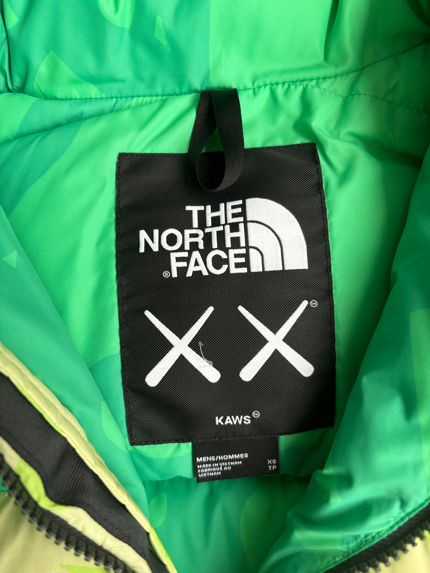 Kaws x The North Face 700 Nupste Puffer Jacket Green/Blue XS